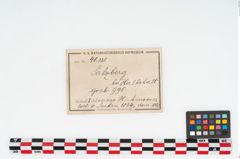 Etikett zu Eisenhiebmesser (NHMW-PRAE-048325)